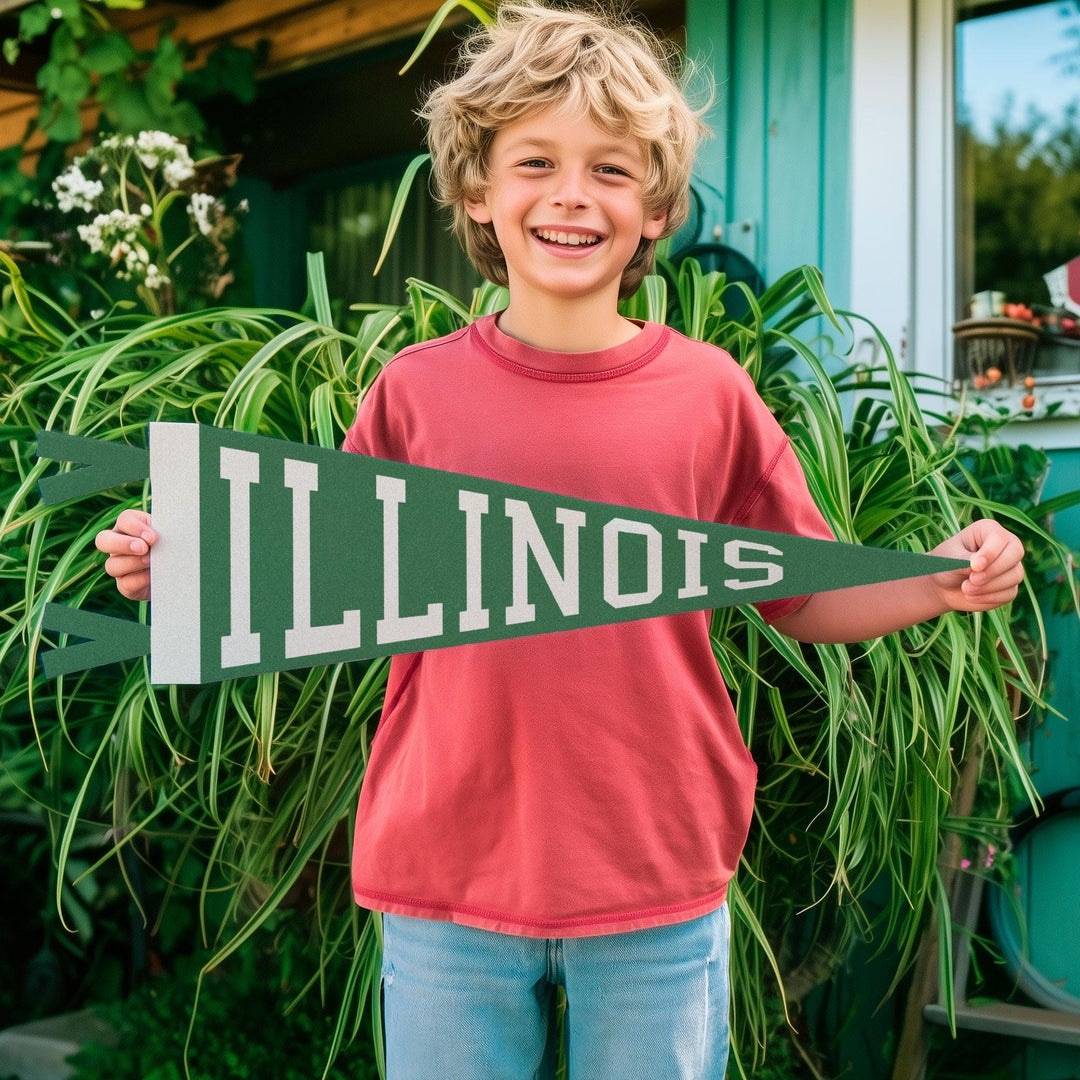 Illinois Varsity Felt Pennant