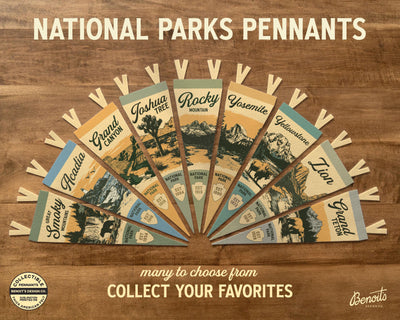 Petrified Forest National Park Felt Pennant