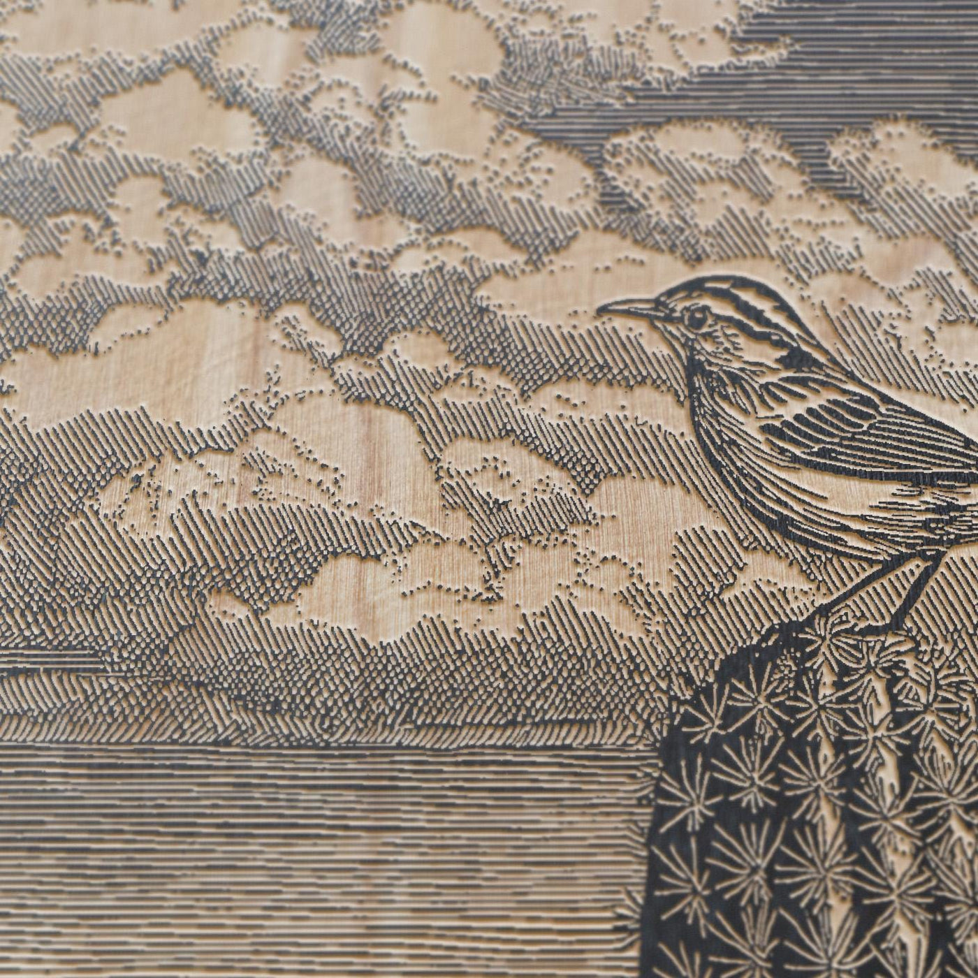 Cactus Wren Scene Engraved Illustration