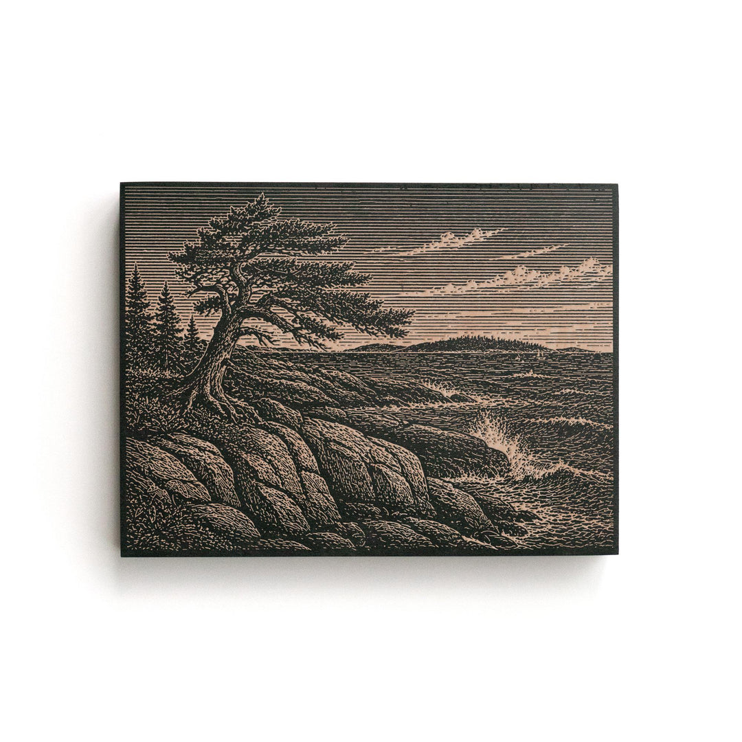 Granite Coast and Wind-Shaped Spruce Engraved Birch Art Panel