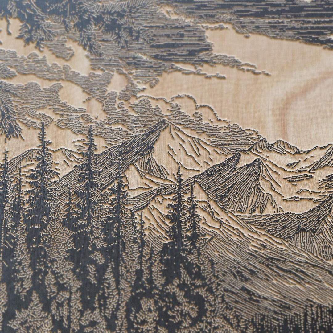 Moose in Denali National Park Engraved Illustration