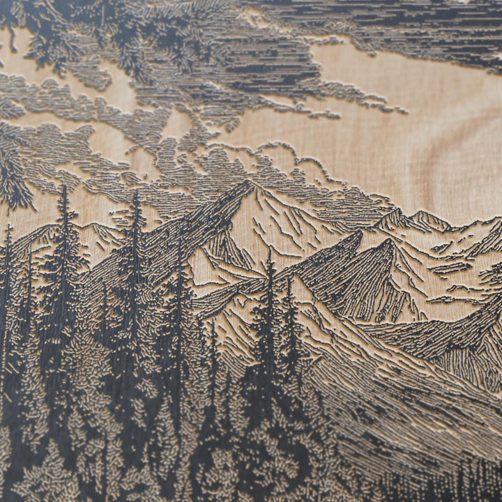 Moose in Denali National Park Engraved Illustration