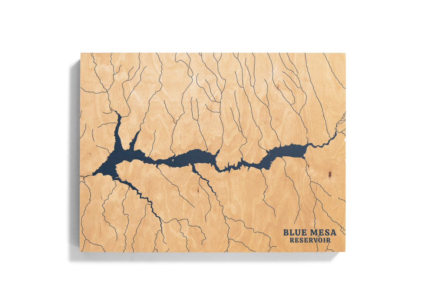 Blue Mesa Reservoir Colorado Custom Lake Map