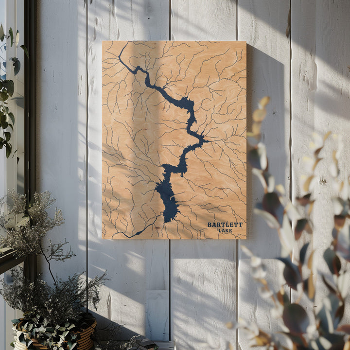 Bartlett Lake, Arizona Lake Map