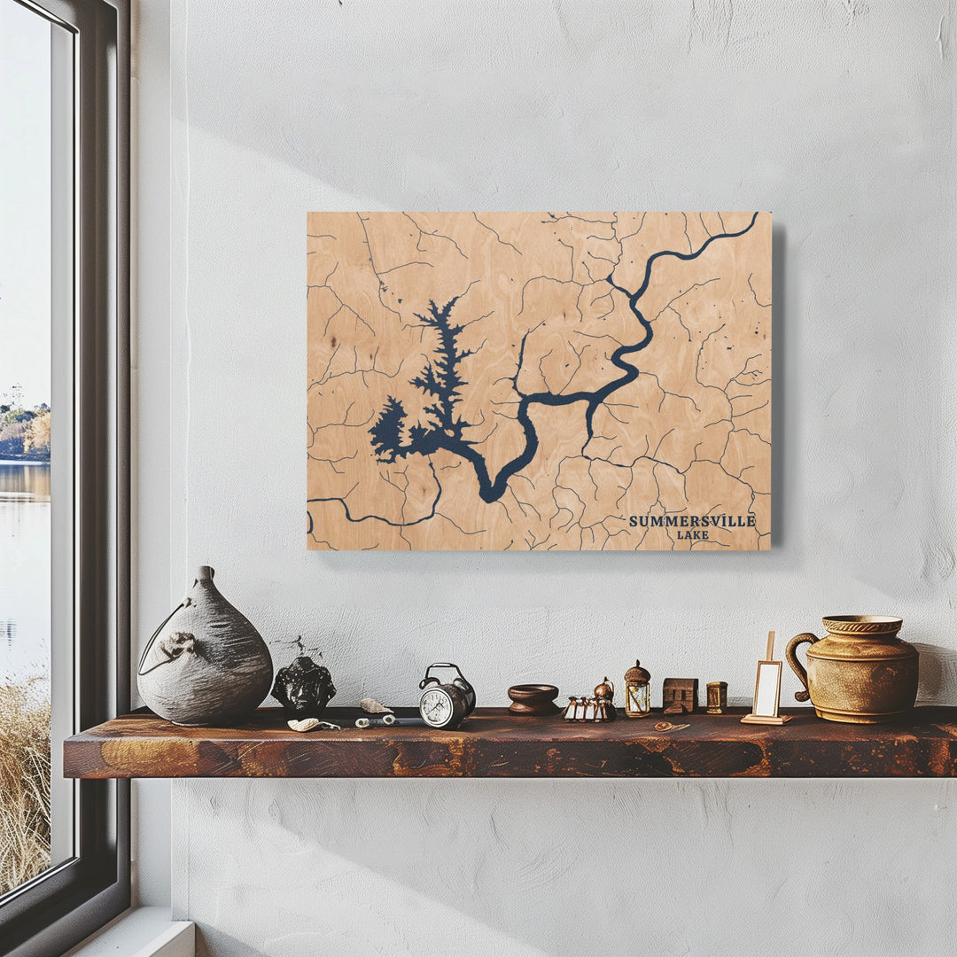 Summersville Lake, Washington Lake Map