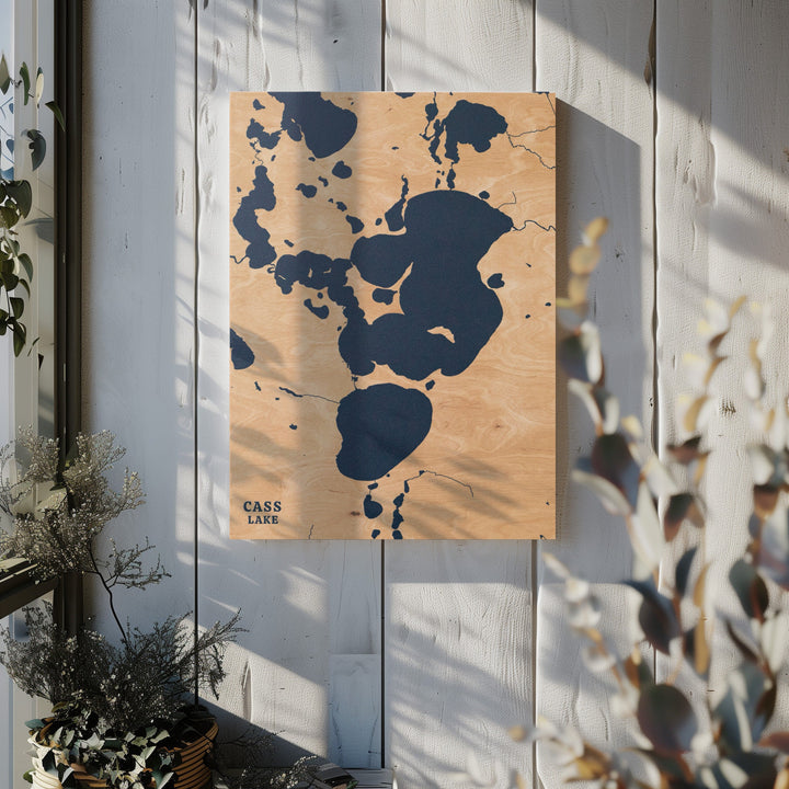 Cass Lake, Minnesota Lake Map