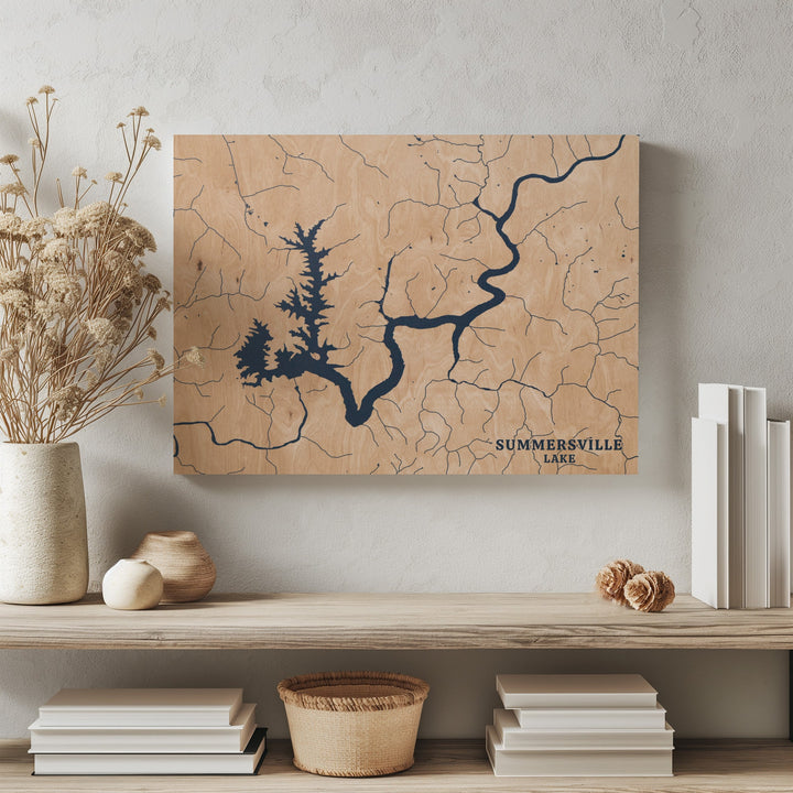 Summersville Lake, Washington Lake Map