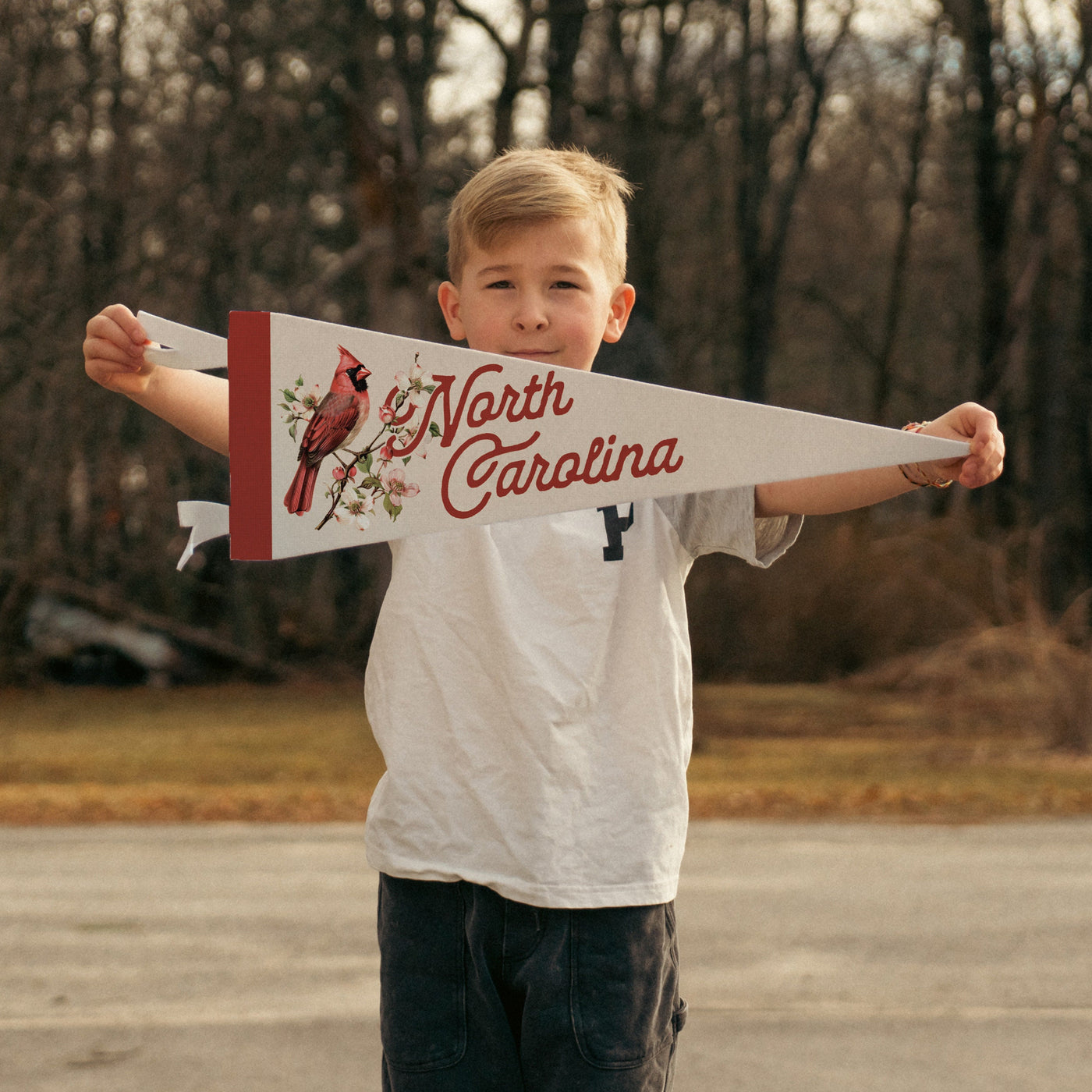 North Carolina Felt Pennant