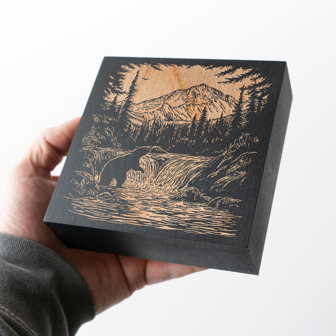 Alaskan Salmon Run Engraved Illustration