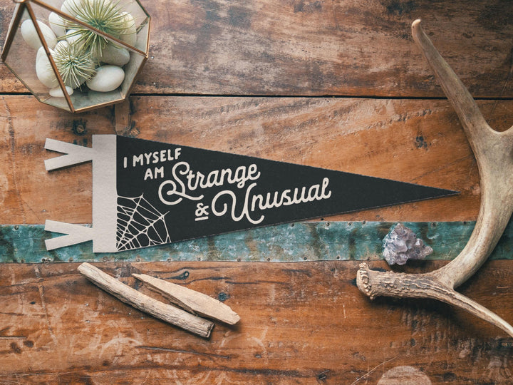 I Myself Am Strange &amp; Unusual Felt Pennant