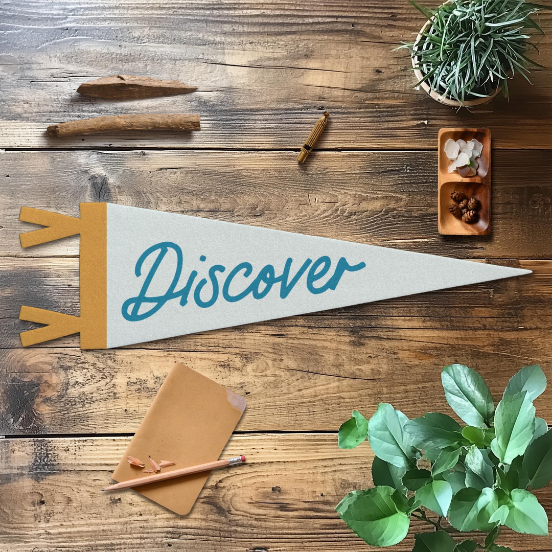 Discover Felt Pennant