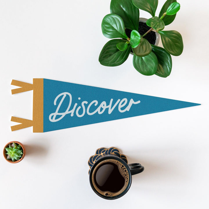 Discover Felt Pennant