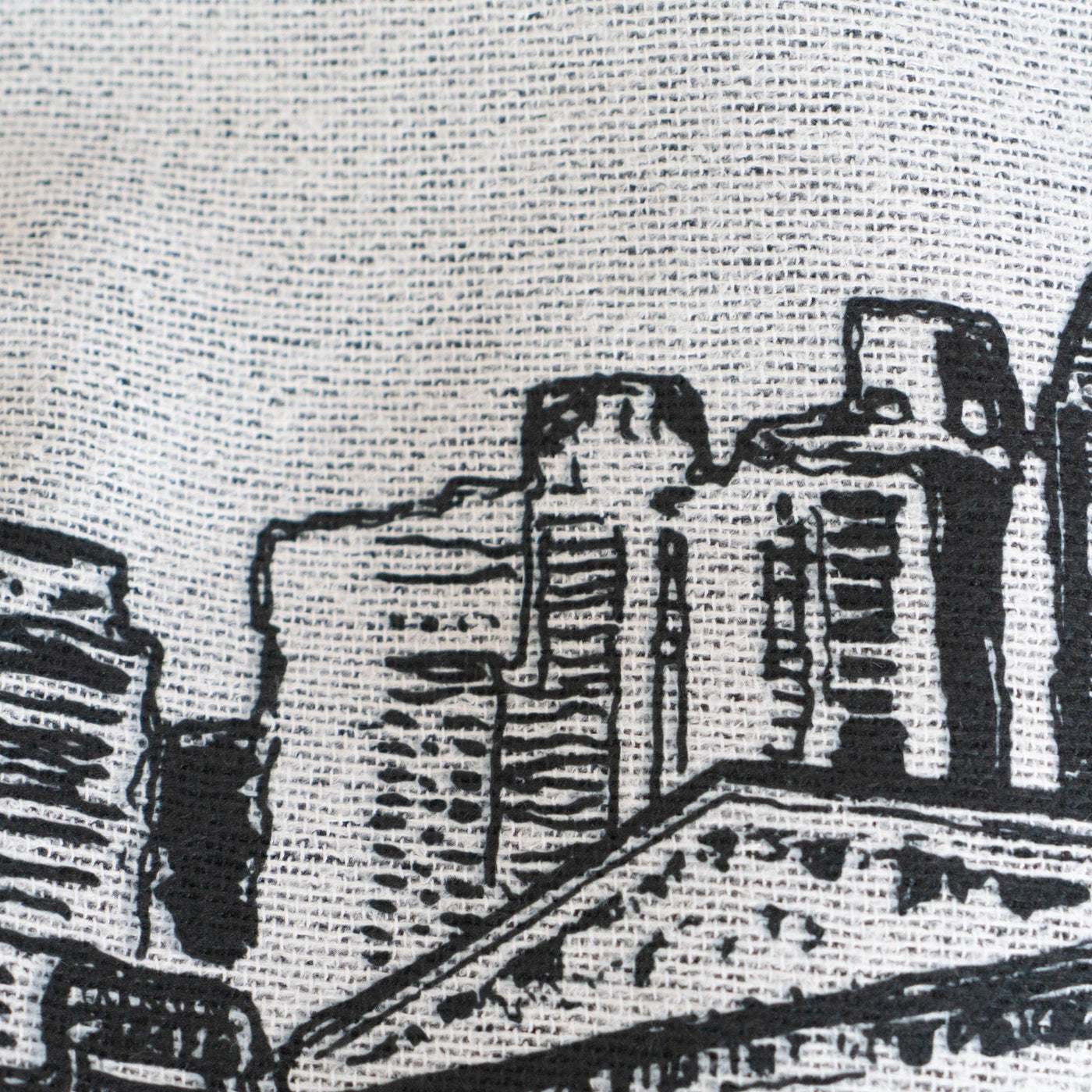 Tucson Arizona City Blanket