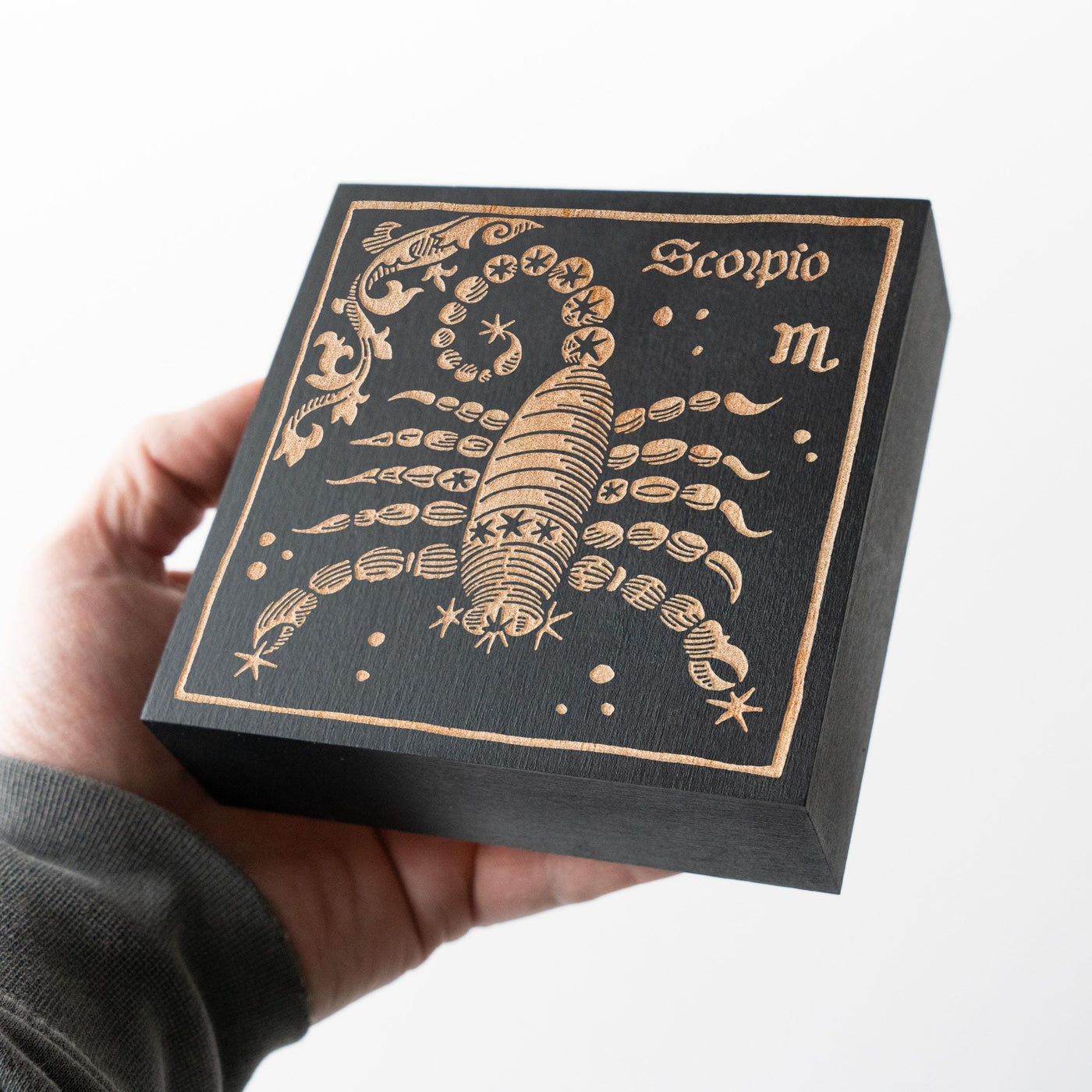 Scorpio Zodiac Engraved Illustration