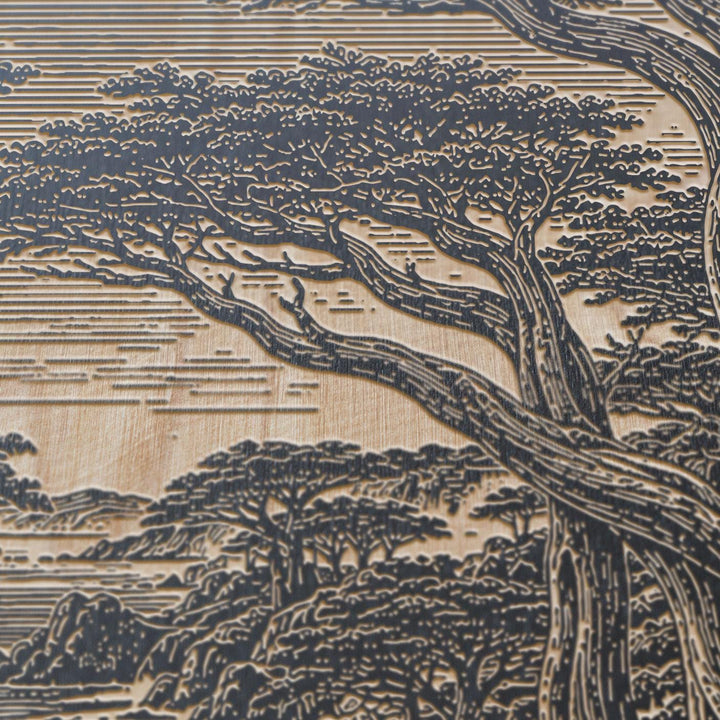 Monterey Cypress Grove Engraved Birch Art Panel