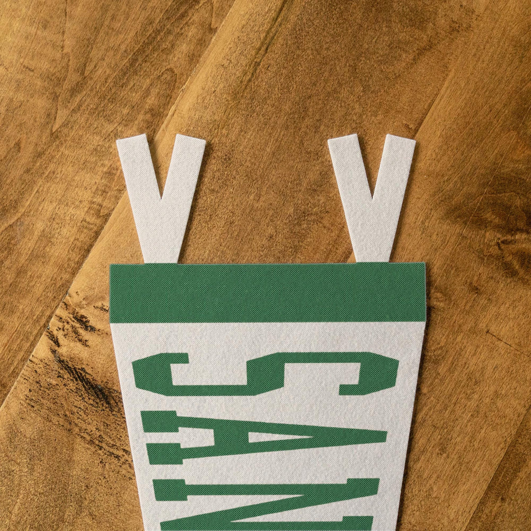 San Antonio Varsity Felt Pennant
