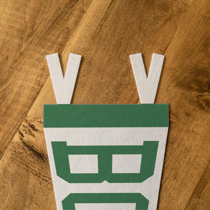 Boise Varsity Felt Pennant