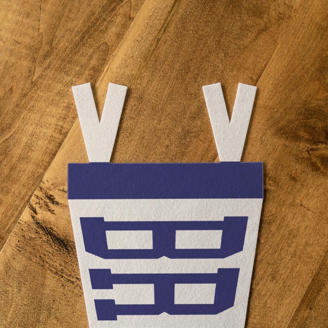 Bristol Varsity Felt Pennant