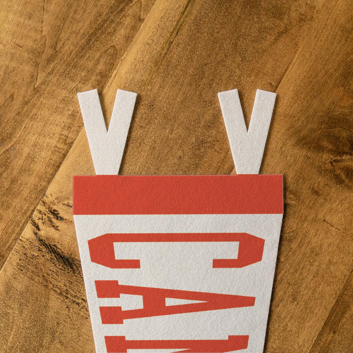 Cambridge Varsity Felt Pennant
