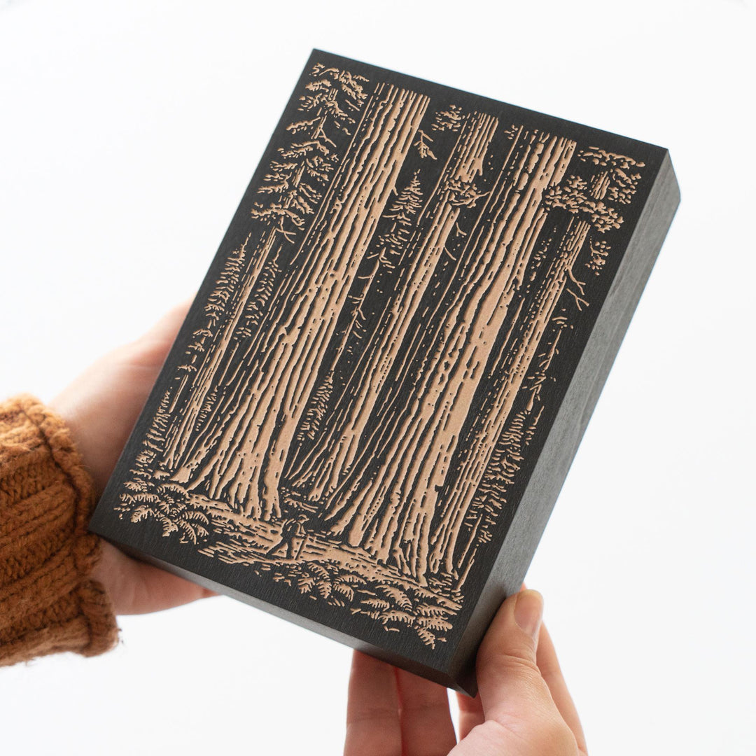 Giant Sequoia Trunks Engraved Wood Panel