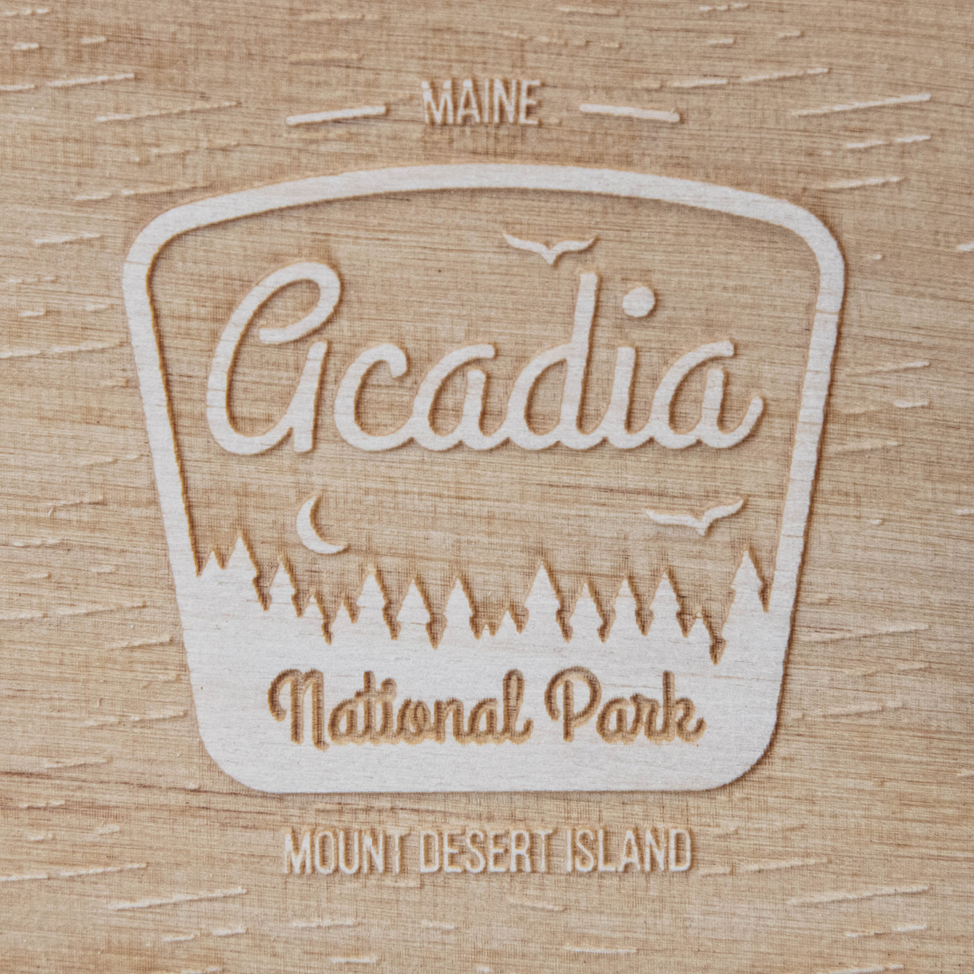 Acadia National Park, Mount Desert Island Maine Topographic Map