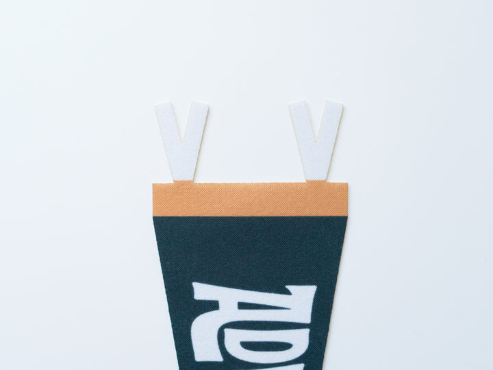 Adventure Felt Pennant