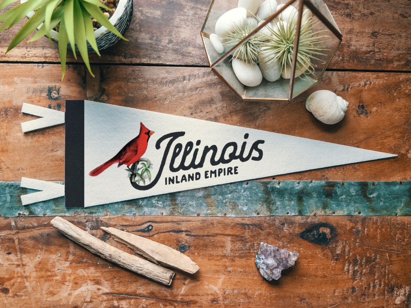 Illinois Felt Pennant