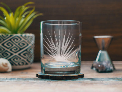 Agave Plant Glasses