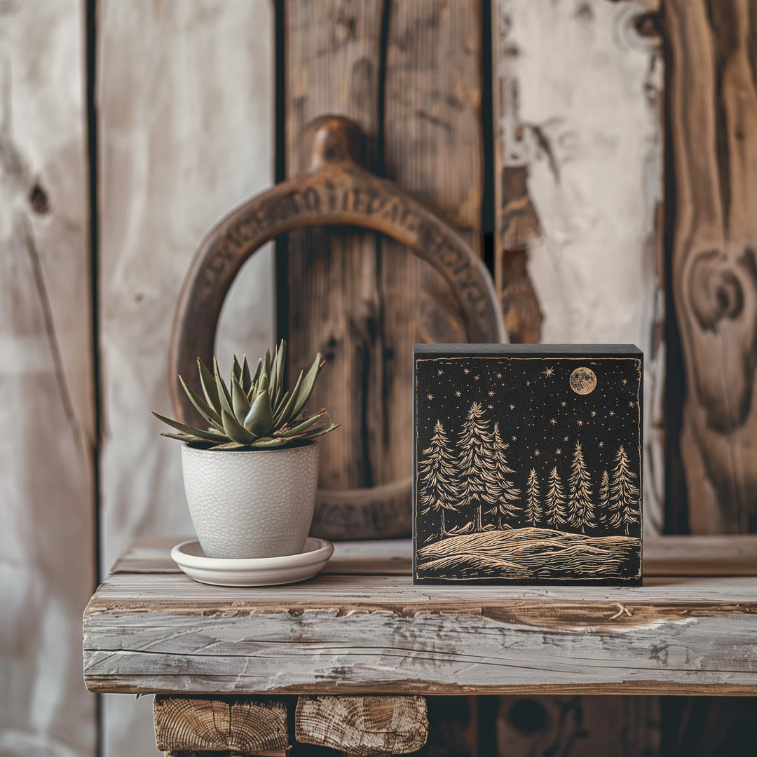 Starry Night Engraved Illustration