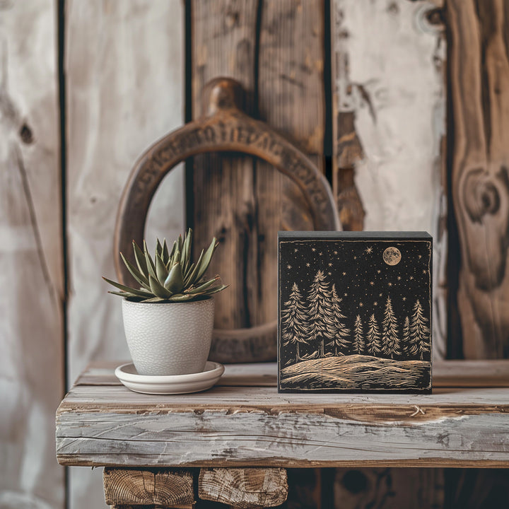Starry Night Engraved Illustration